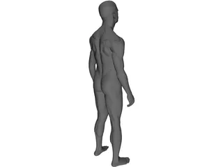 Man Human 3D Model