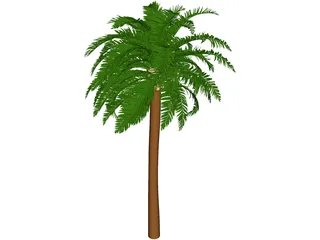 Coconut Tree 3D Model