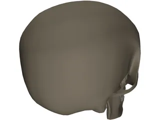 Skull Male 3D Model