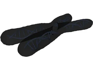 Human Chromosome 3D Model