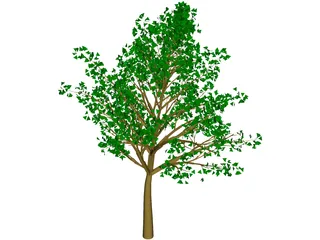 Tree 3D Model