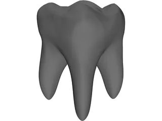 Tooth 3D Model