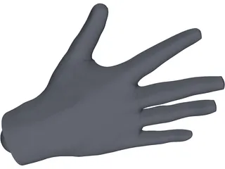 Human Hand 3D Model