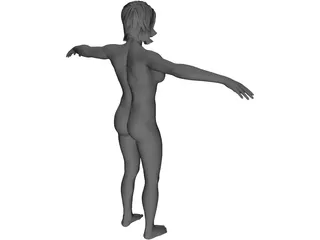 Female Anatomy Complete 3D Model