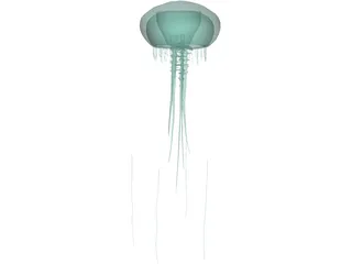 Jellyfish 3D Model