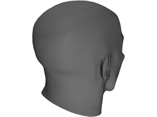 Male Human Head 3D Model