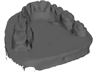 Teeth Stamp 3D Model