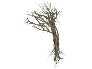 Dry Old Tree 3D Model