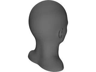 Human Head and Neck 3D Model