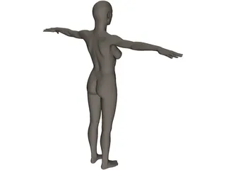 Female 3D Model