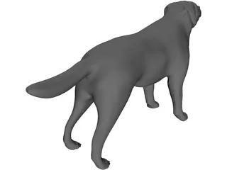 Dog 3D Model