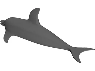 Dolphin 3D Model