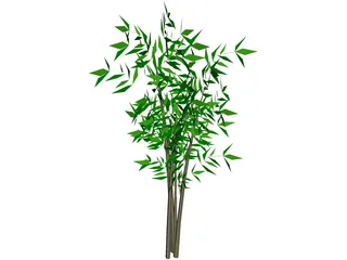 Bamboo Tree 3D Model