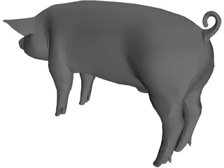 Pig 3D Model