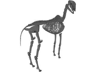 Horse Skeleton 3D Model