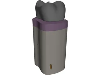 Molar Cutaway 3D Model