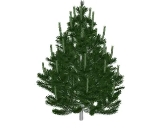 Pine Tree 3D Model