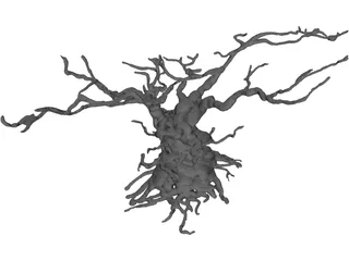 Gnarled Tree 3D Model
