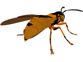 Wasp 3D Model