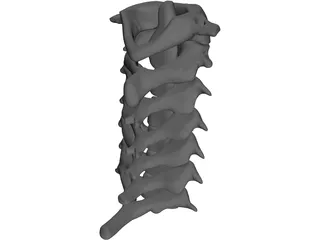 Vertebrae Cervical Bones 3D Model