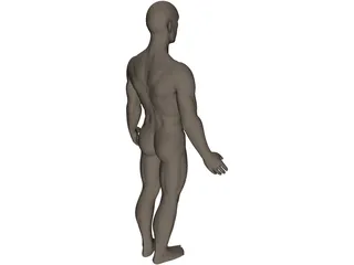 Human 3D Model