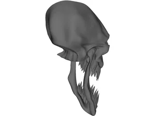 Monster Skull 3D Model