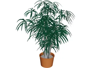 Indoor Plant 3D Model