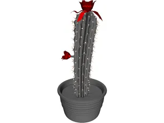 Castus 3D Model