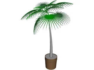 Palm Tree Plant 3D Model