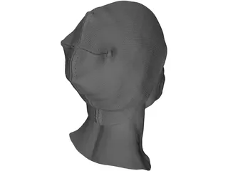 Head for Printing Decimated 3D Model