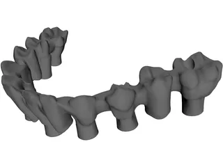 Reduced Mandibula Arcade 3D Model