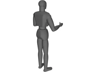 Human 3D Model