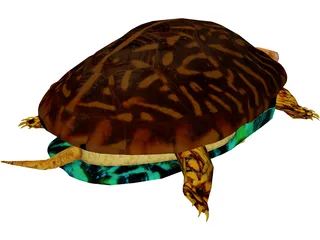 Turtle 3D Model