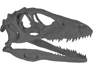 Dinosaur Skull 3D Model