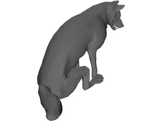 Wolf Sitting 3D Model