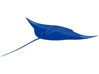 Manta Ray 3D Model