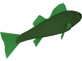 Walleye 3D Model