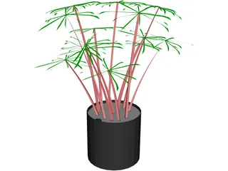 Cyperus Alternifolius 3D Model