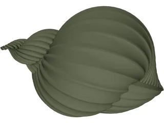 Shell Sea 3D Model