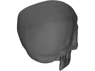 Skull Complete with Jaw Bone and Teeth 3D Model