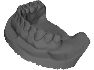 Teeth 3D Scanned 3D Model