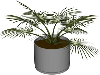 House Plant 3D Model