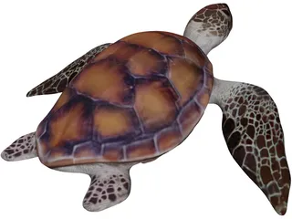 Turtle 3D Model