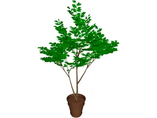 Potted Tree 3D Model