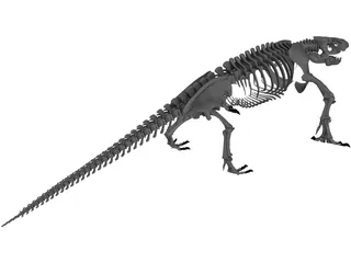 Komodo Dragon Skeleton 3D Model