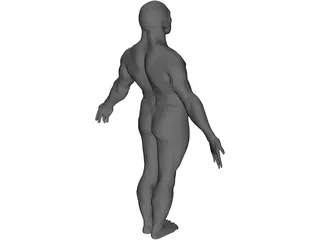 Male Body 3D Model