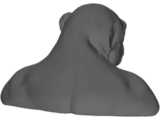 Chimp Head 3D Model