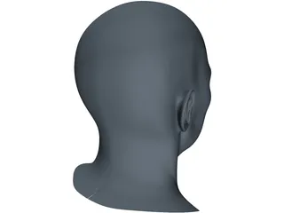 Human Face 3D Model