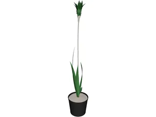 Potted Plant 3D Model