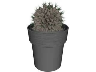 Potted Cactus Plant 3D Model